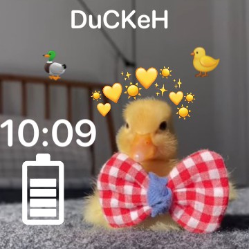 duckyyyy 