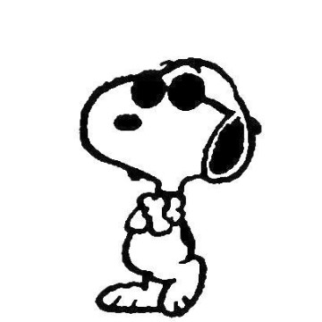 Swag Snoopy Widget