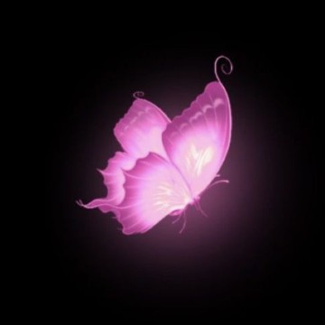 cute y2k pink butterfly