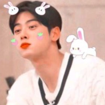 Cha Eun Woo Widget 