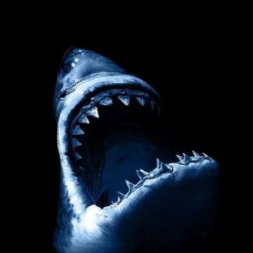 shark