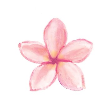 flower Cutie