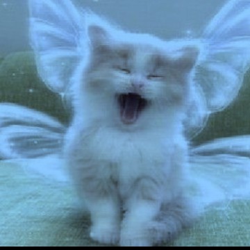 blue fairy cat