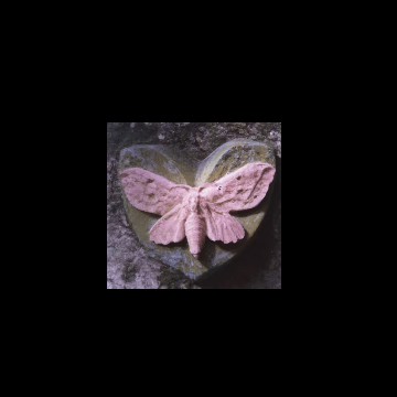 Melanie martinez portals widget 