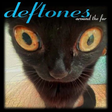 Deftones cat cover