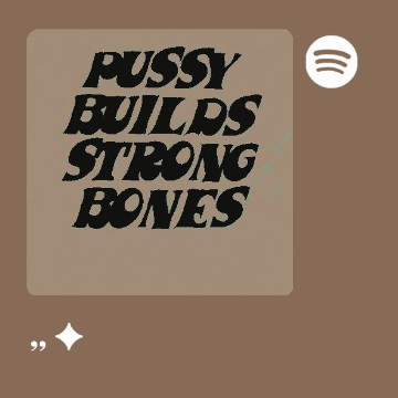 Spotify widget