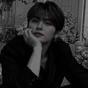 LEE KNOW  SKZ  SMALL WIDGET