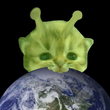 Alien Cat