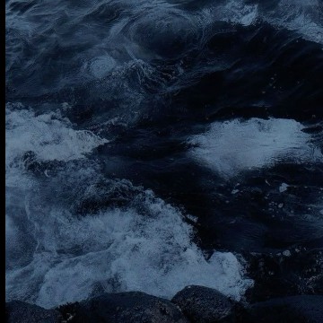 Sea Widget ocean - widgetopia homescreen widgets for iPhone / iPad / Android