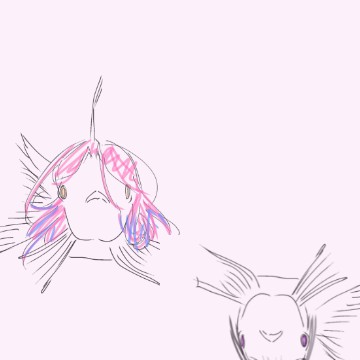 Mizisua Fish