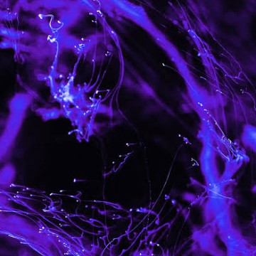 amoled black dark violet