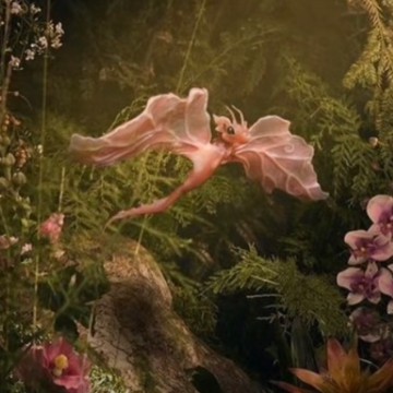 cute Melanie Martinez pet