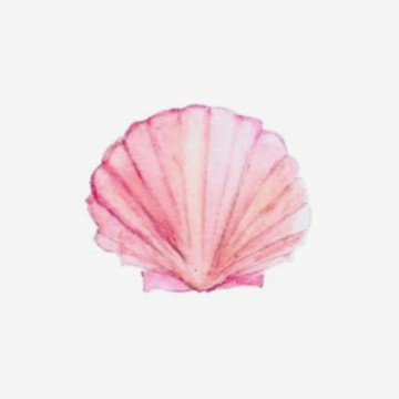 cute pink preppy ocean seashell